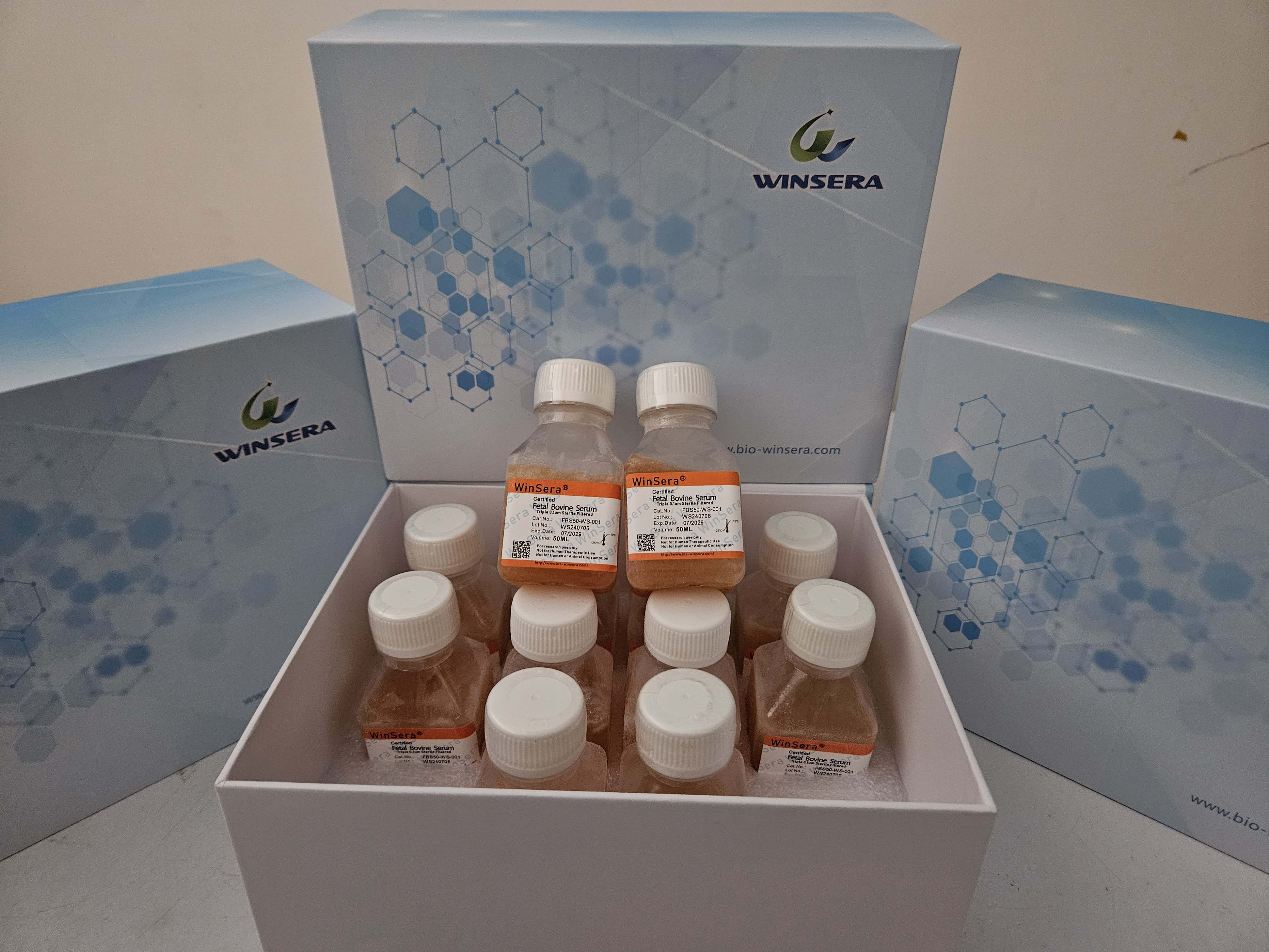 干貨|WinSera胎牛血清（FBS）使用要點